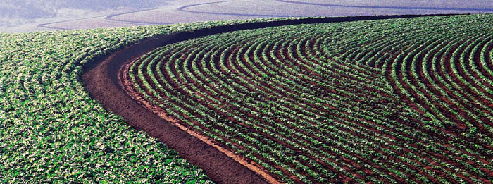 Seguro Equipamentos Agrícolas